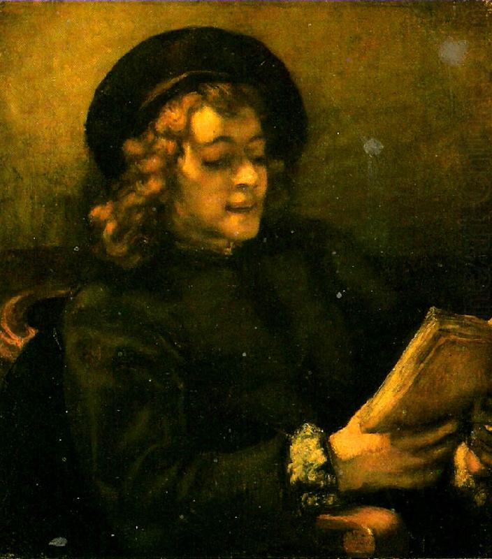 Rembrandt van rijn portratt av titus oil painting picture